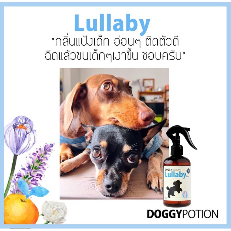 Doggy Potion Lullaby Conditioning Spray 250ml สเปรย์บำรุงขน สูตรลาลาบาย รูปที่ 5