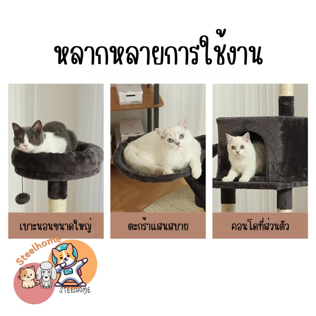 คอนโดแมว ที่ฝนเล็บแมว แท่นฝนเล็บ ของเล่นสำหรับน้องแมว CD7 รูปที่ 2