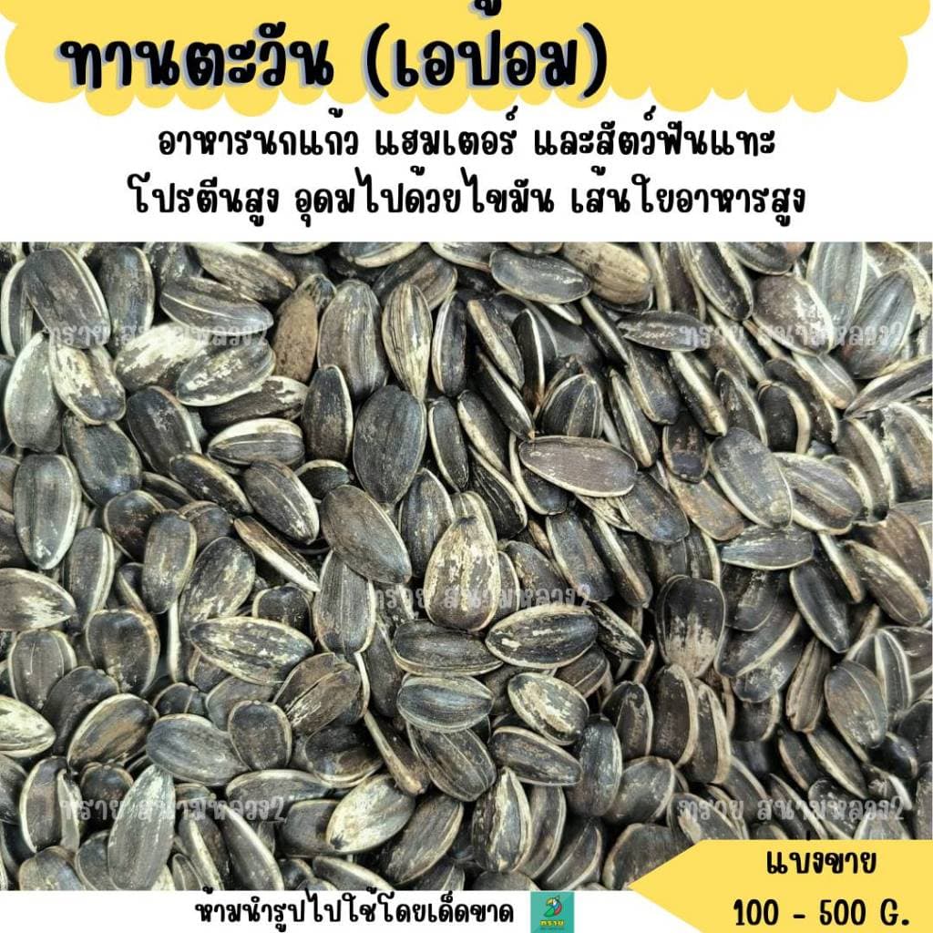 ทานตะวัน เอป้อม (แบ่งขาย 200-500G.) อาหารนกแก้ว อาหารแฮมเตอร์ และสัตว์ฟันแทะ