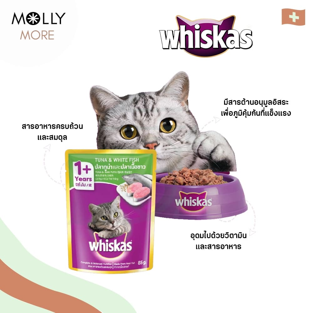 MOLLY WHISKAS อาหารแมว ชนิดเปียก แบบซอง อาหารเปียกแมว วิสกัส เพาช์ รูปที่ 4