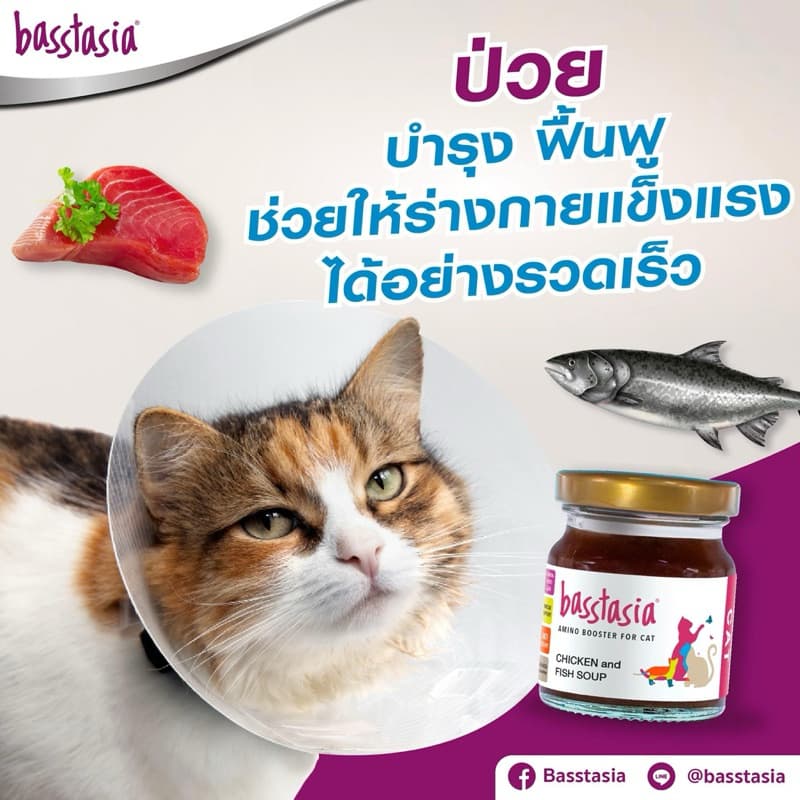 Basstasia น้ำซุปสำหรับสุนัขและแมว บำรุง ฟื้นฟู ซ่อมแซม รูปที่ 4