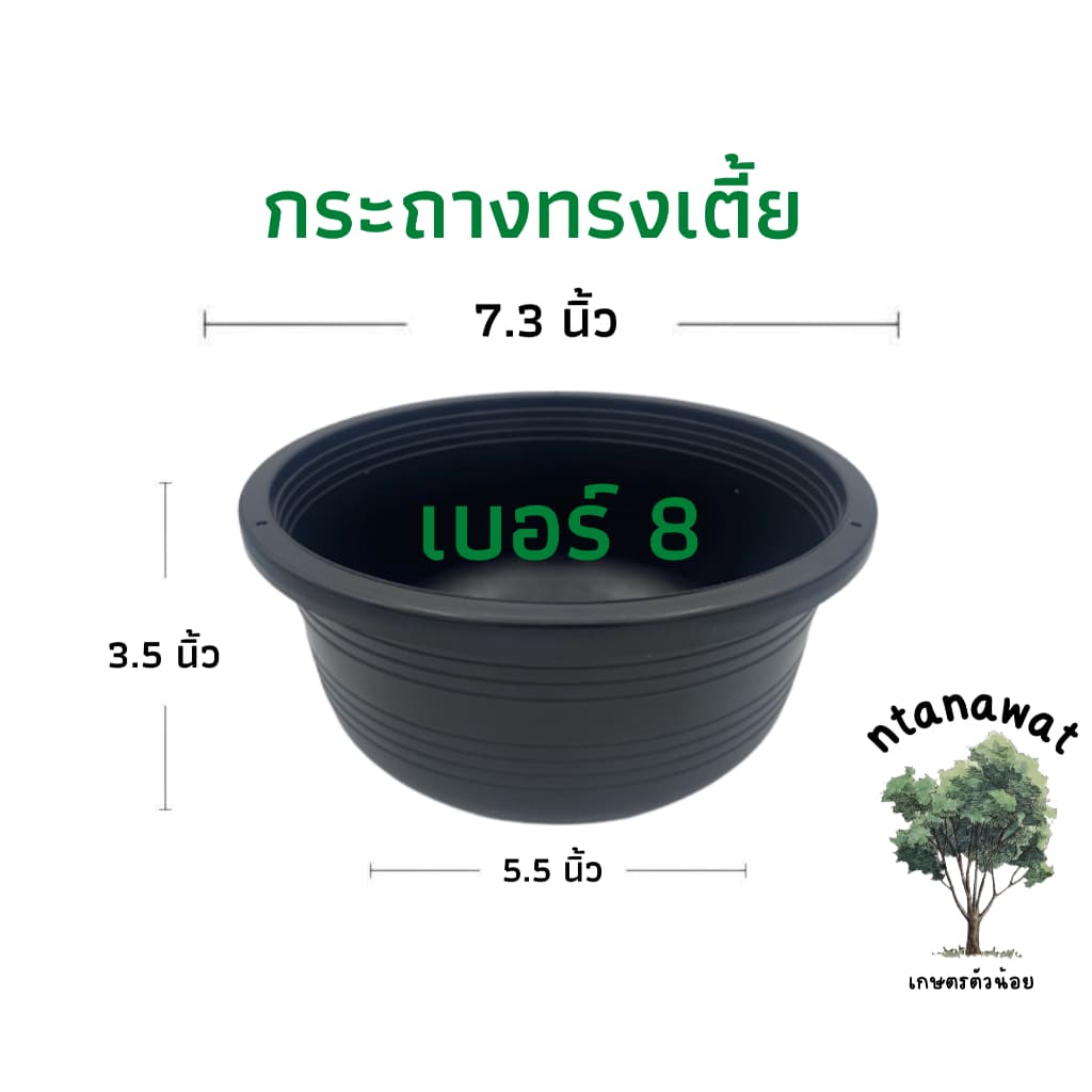 กระถางทรงเตี้ย เบอร์ 8 กระถางแขวน กระถางเพาะเมล็ด สีดำเงา รูปที่ 1