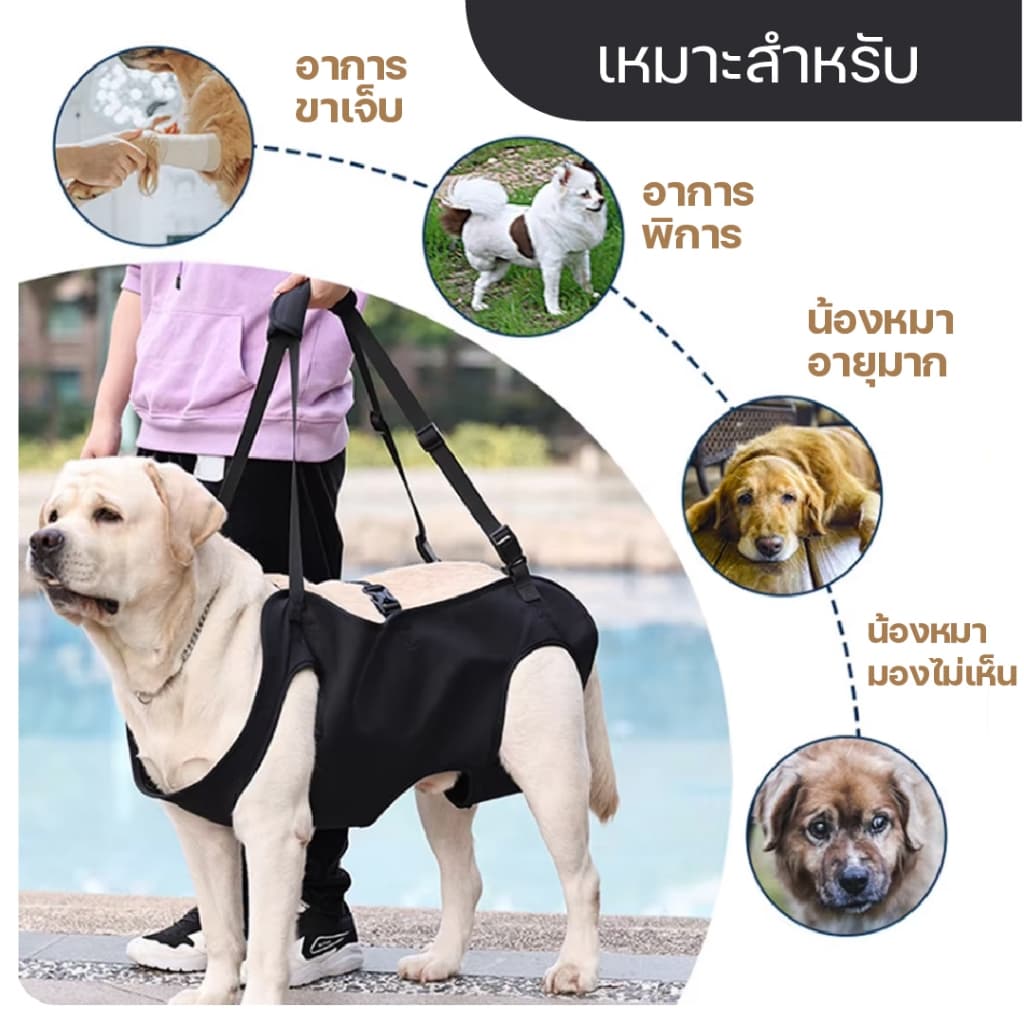 สายรัดพยุงเดินสุนัข เสื้อกั๊กช่วยเดินสุนัขสูงอายุ สำหรับสุนัขบาดเจ็บข้อสะโพกขาหลัง รูปที่ 7