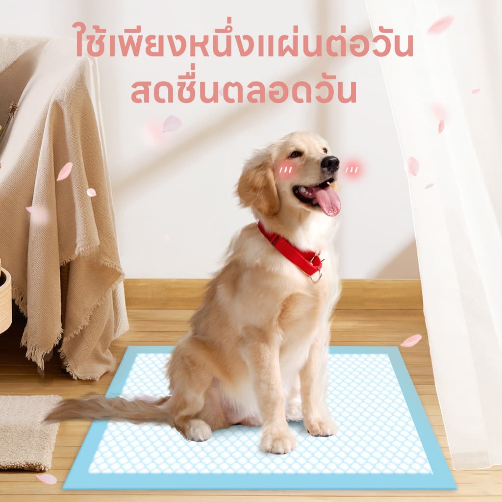 yoyopet : แพ็คสุดคุ้ม 3ถุง แผ่นรองฉี่สัตว์เลี้ยง ที่ซับปัสสาวะ สุนัข แมว ที่รองฝึกขับถ่าย ซึมซับเร็ว รูปที่ 6