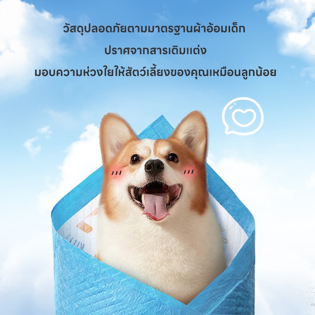 yoyopet : แพ็คสุดคุ้ม 3ถุง แผ่นรองฉี่สัตว์เลี้ยง ที่ซับปัสสาวะ สุนัข แมว ที่รองฝึกขับถ่าย ซึมซับเร็ว รูปที่ 3
