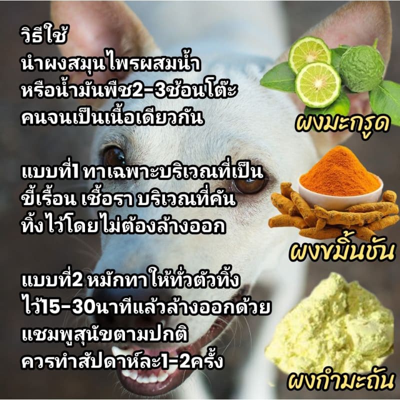 ผงทศกัณฑ์กำจัดเห็บหมัดสูตร1และสูตร2 สำหรับน้องหมาและน้องแมว หัวเชื้อผสมน้ำกำจัดเห็บหมัดบนตัวและบนพื้นสำหรับหมาและแมว รูปที่ 9