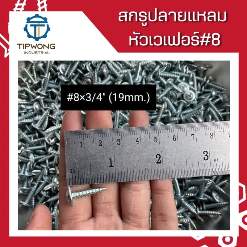สกรูปลายแหลม หัวเวเฟอร์ชุบขาว #8 รูปที่ 6
