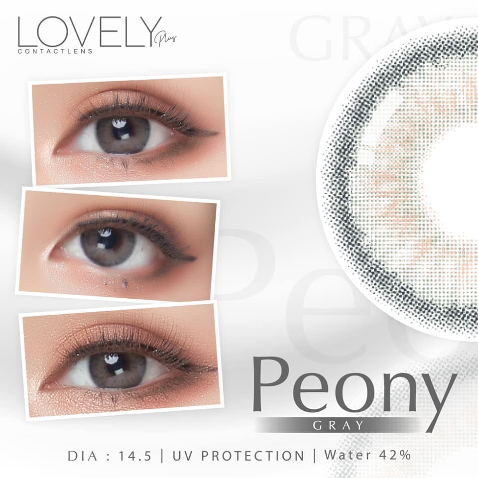 คอนแทคเลนส์ ขนาดมินิBrown/Gray Peony รูปที่ 8