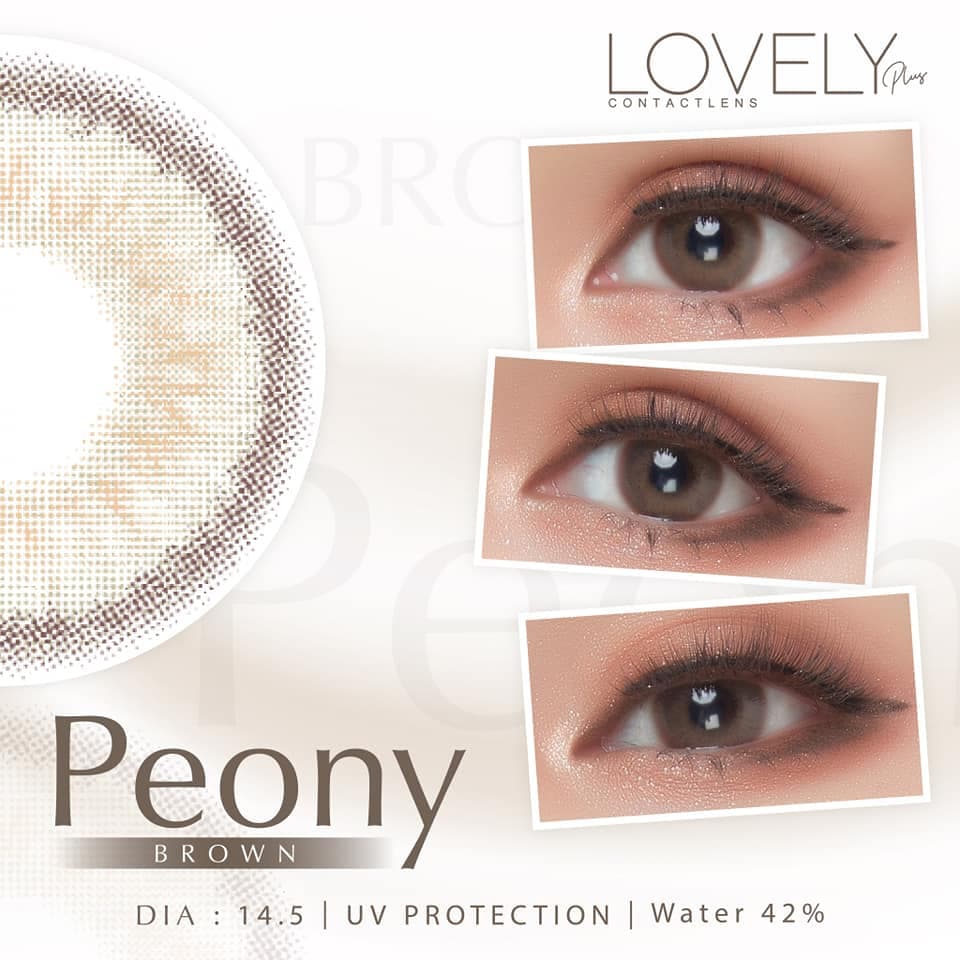 คอนแทคเลนส์ ขนาดมินิBrown/Gray Peony รูปที่ 9