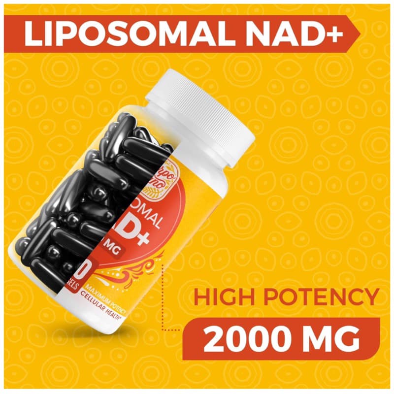 LIPOSOMAL NAD 2000 MGชะลอวัย ลดความเสื่อมซ่อมแซม DNAเพิ่มพลังงานเซลล์ต้านอนุมูลอิสระ‼ 60 ซอฟ์ทเจล ‼ รูปที่ 3
