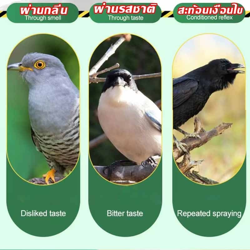 10000เมตรไม่มีนก ก้อนไล่นกพิราบ 12 แคปซูล/กล่อง การกำจัดที่มีประสิทธิภาพและยาวนาน ใช้ในบ้านและนอกบ้าน นกพิราบบินไปทันที รูปที่ 7