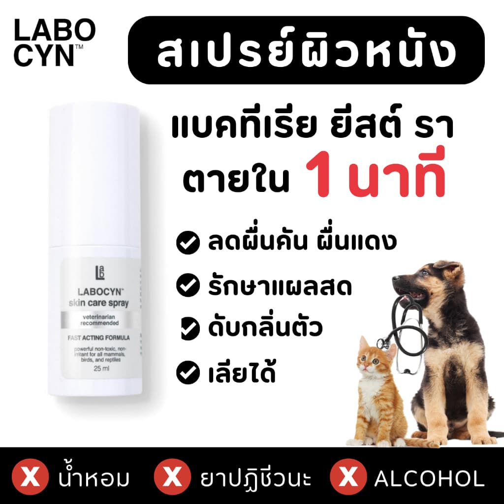 Labocyn Skin Care Spray สเปรย์ดูแลผิวหนังสุนัข แมว ผิวหนัง แผลสด เชื้อราแมว ยีสต์ แบคทีเรีย รูปที่ 1