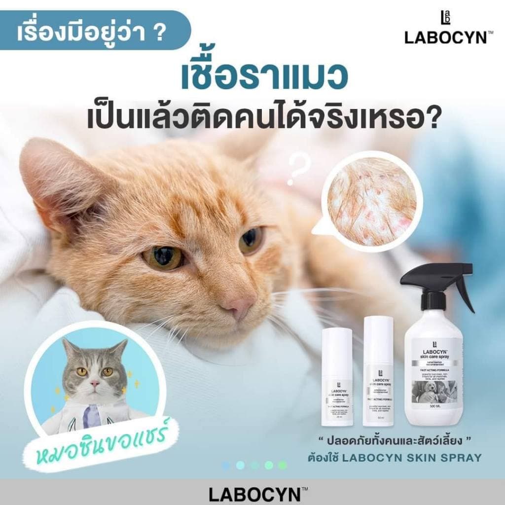 Labocyn Skin Care Spray สเปรย์ดูแลผิวหนังสุนัข แมว ผิวหนัง แผลสด เชื้อราแมว ยีสต์ แบคทีเรีย รูปที่ 3