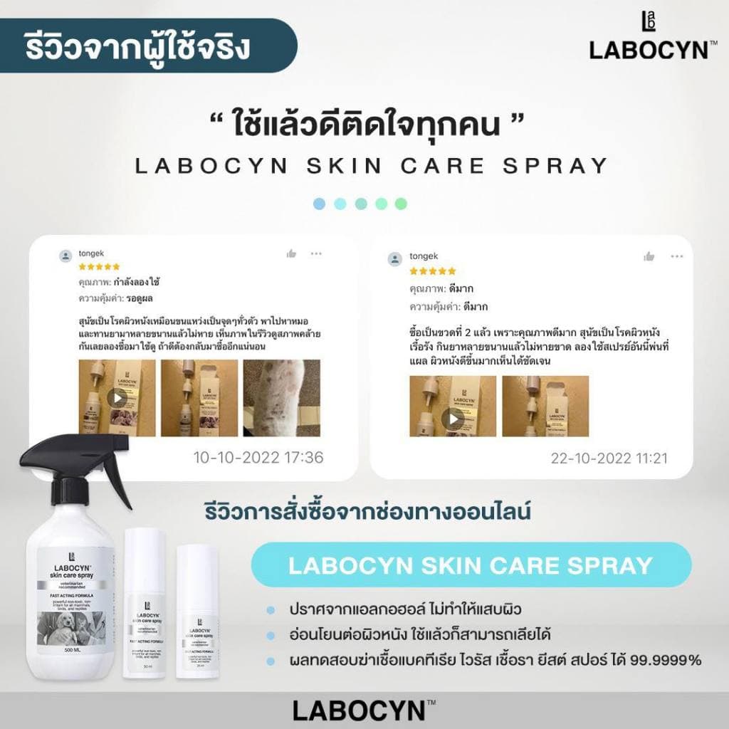 Labocyn Skin Care Spray สเปรย์ดูแลผิวหนังสุนัข แมว ผิวหนัง แผลสด เชื้อราแมว ยีสต์ แบคทีเรีย รูปที่ 7