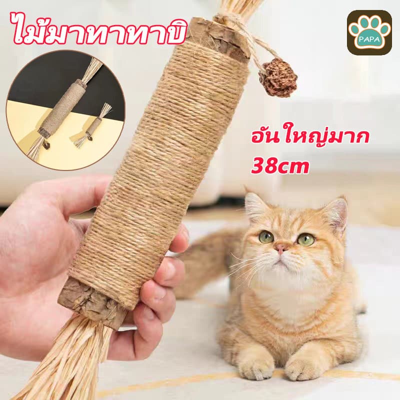 ไม้มาทาทาบิ อันใหญ่มาก ไม้แมวเมา ของเล่นแมว ลดคราบหินปูน ก้านมาทาทาบิ รูปที่ 1