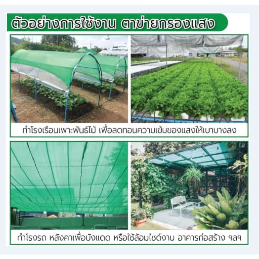 ผ้ากรองแสง สแลนกรองแสง หน้ากว้าง1/2เมตร ยาว10เมตร ตาข่ายกรองแสง แสลนบังแดด 50%60%70%80% สามเข็ม เกรดA รูปที่ 6