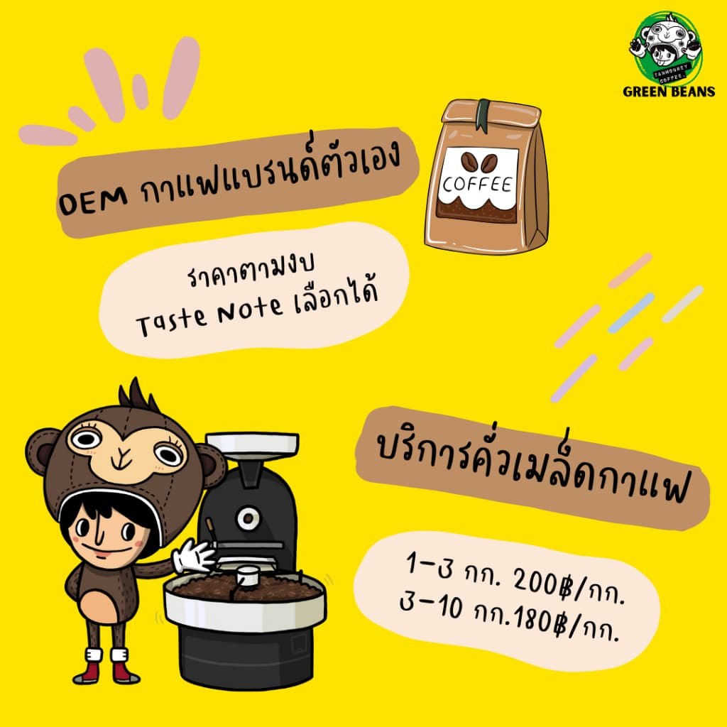 สารเมล็ดกาแฟ Laos Washed 2025 ขนาด 30kg รูปที่ 3
