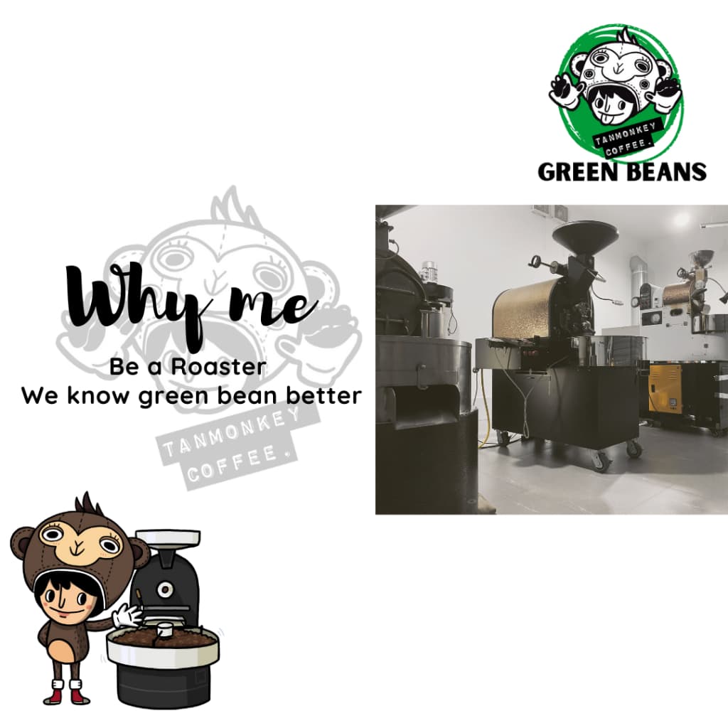 สารเมล็ดกาแฟเอธิโอเปีย Ethiopia Yirgacheffe G2 Washed ขนาด 5 kg รูปที่ 4