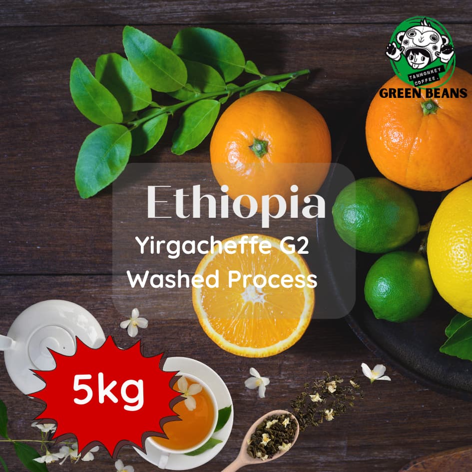 สารเมล็ดกาแฟเอธิโอเปีย Ethiopia Yirgacheffe G2 Washed ขนาด 5 kg รูปที่ 1