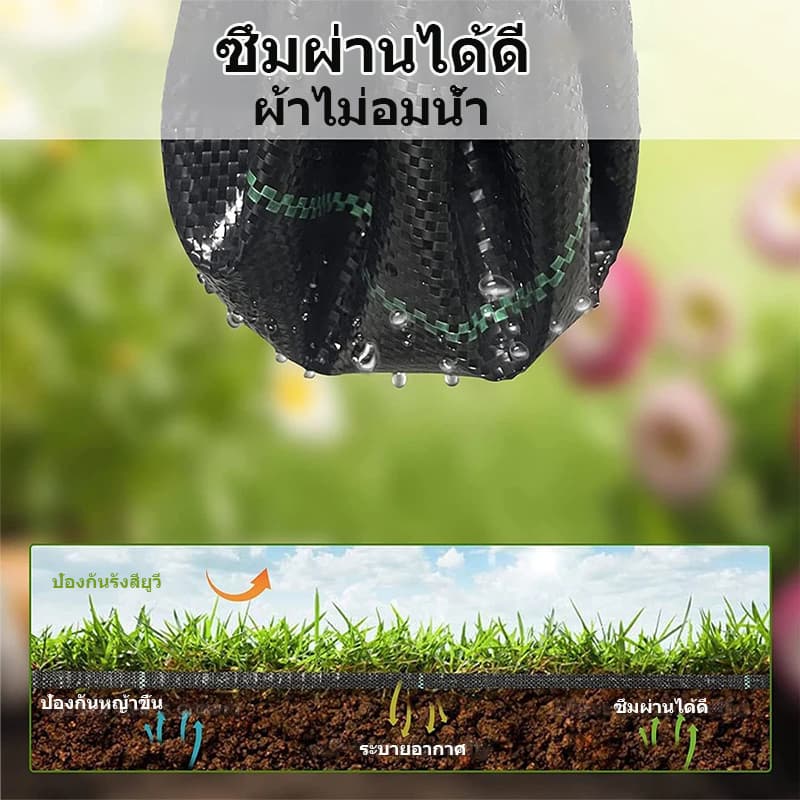 พลาสติกคลุมดิน ผ้าคลุมหญ้า พลาสติกคลุมวัชพืช กำจัดวัชพืช ผ้าคลุมวัชพืช พลาสติกเกรดส่งออก ผสมUV ฆ่าหญ้า เห็นผลไวถายใน รูปที่ 8