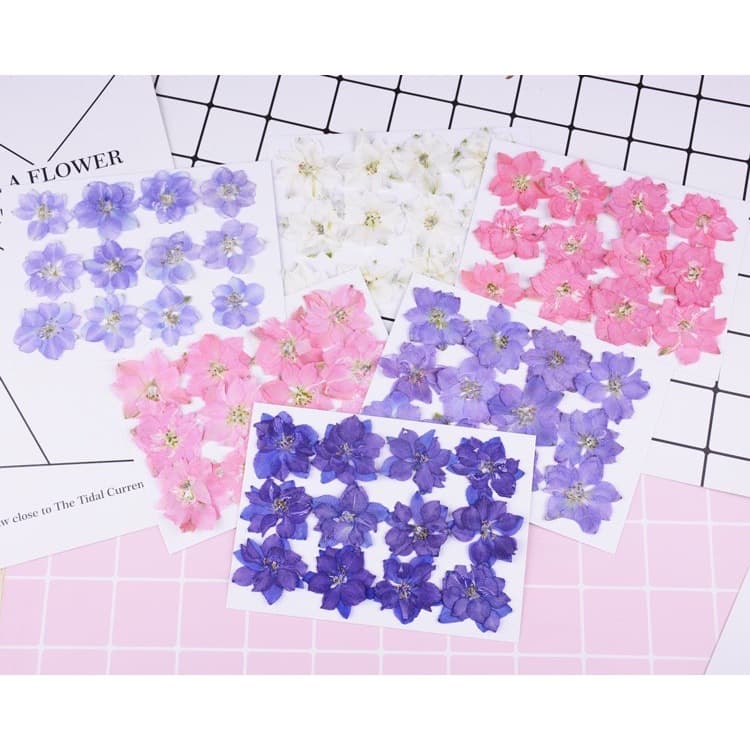 ดอกไม้จริงทับแห้ง ดอกเดลฟินเนียม แต่งเคสโทรศัพท์เรซิ่น เครื่องประดับต่าง diy ขนาด 2.5-4 cm รูปที่ 1