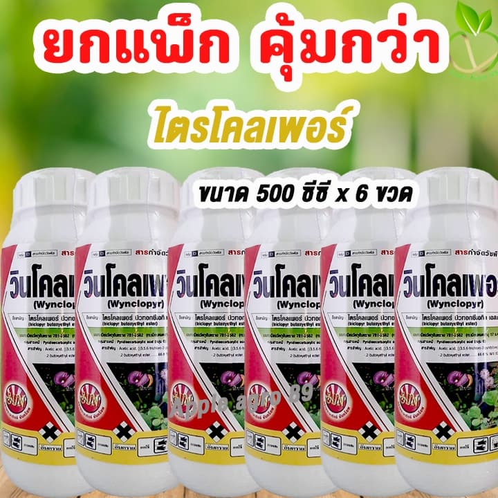 ยกแพ็ก คุ้มกว่า ไตรโคลเพอร์ ขนาด 500 ซีซี x 6 ขวด ยาฆ่าตอไม้ ยาฆ่าตอ กำจัดหญ้าใบกว้าง กำจัดตอไม้ รูปที่ 1