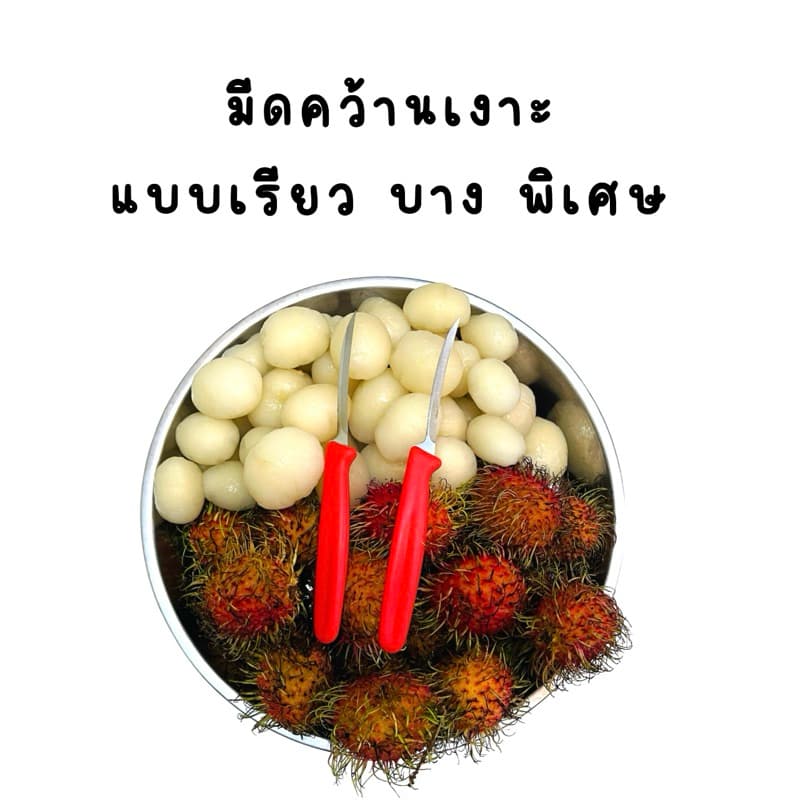 มีดคว้านเงาะ ที่คว้านเงาะ มะยงชิด แบบเรียวพิเศษ รูปที่ 3