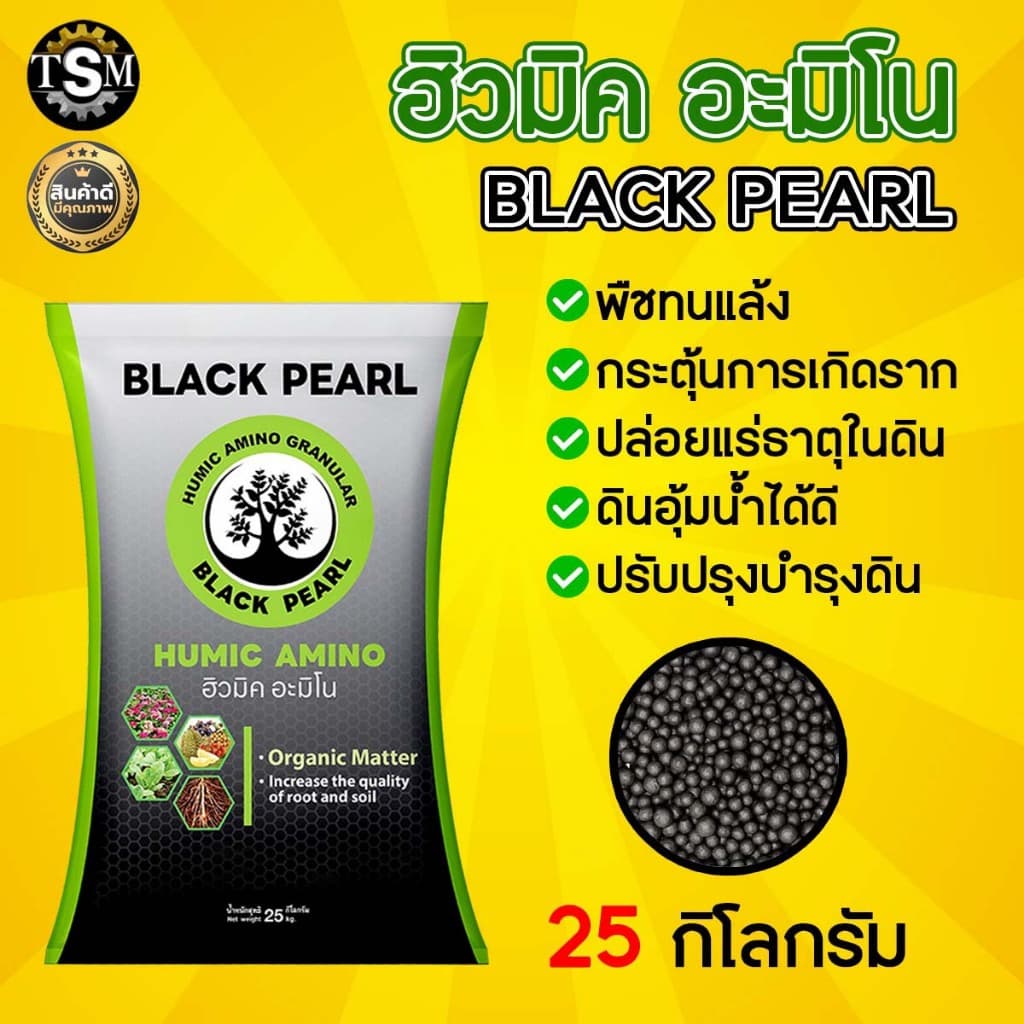 ฮิวมิค อะมิโน แบล็คเพิร์ล กระตุ้นราก กระตุ้นการแตกใบ สร้างรากหาอาหาร ปรับปรุงโครงสร้างดิน รูปที่ 1