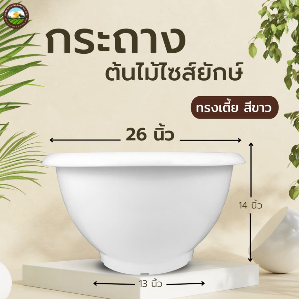 กระถาง 26 นิ้ว กระถางไซร์ยัก อ่างบัว หนาพิเศษ ทรงเตี้ย รูปที่ 1