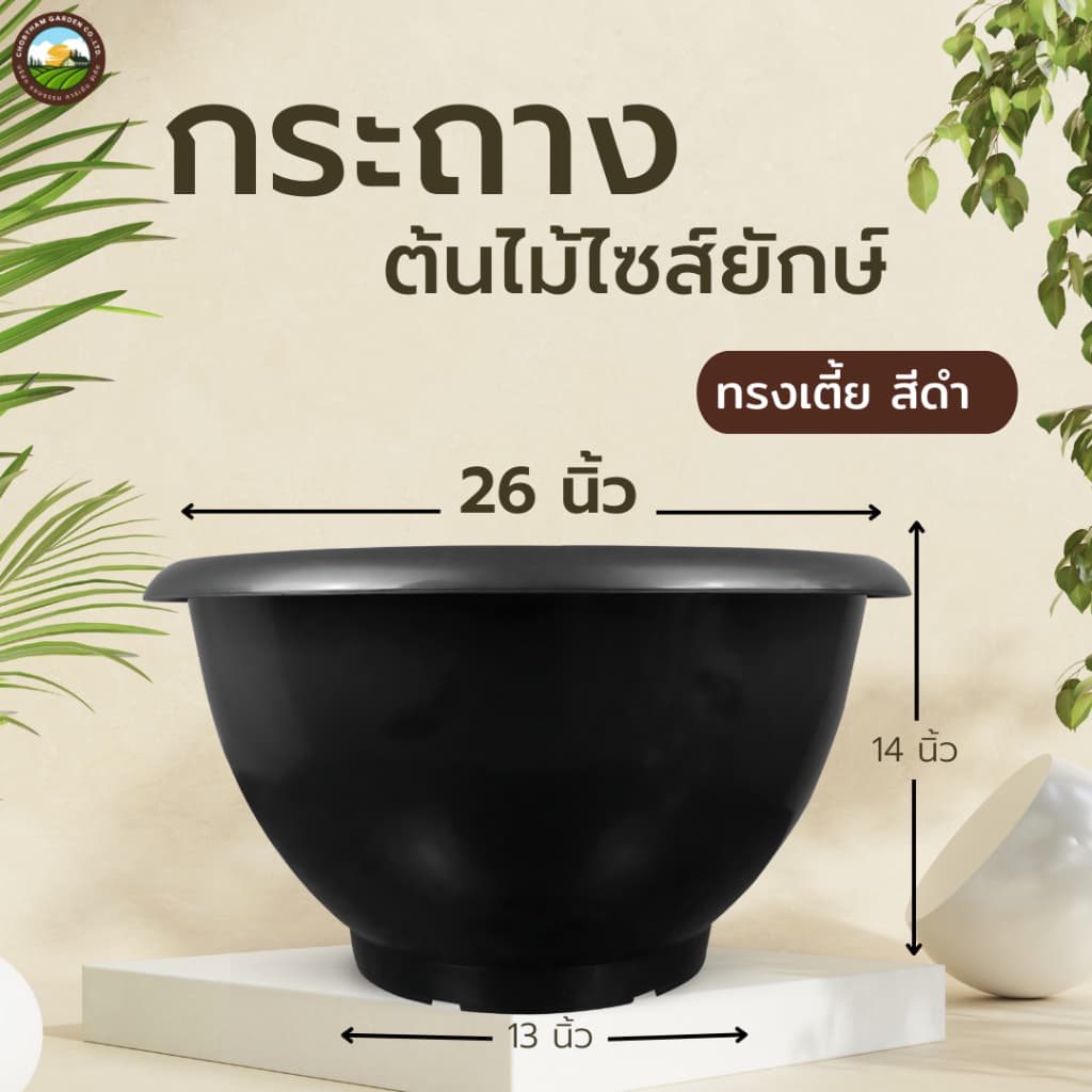 กระถาง 26 นิ้ว กระถางไซร์ยัก อ่างบัว หนาพิเศษ ทรงเตี้ย รูปที่ 2
