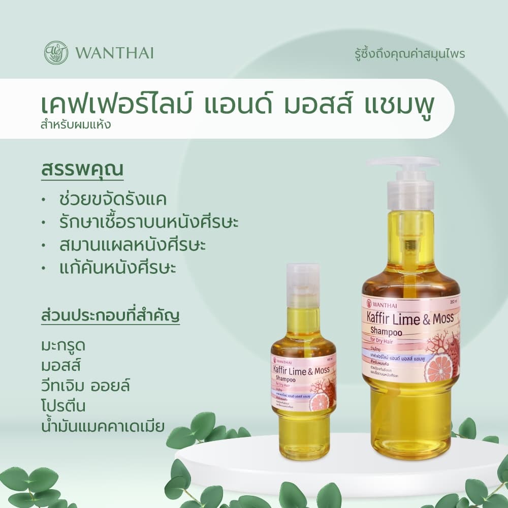 Wanthai เคฟเฟอร์ไลม์ & มอสส์ แชมพู l มะกรูด ลดอาการคัน ขจัดรังแค รักษาเชื้อราบนหนังศีรษะ รูปที่ 3