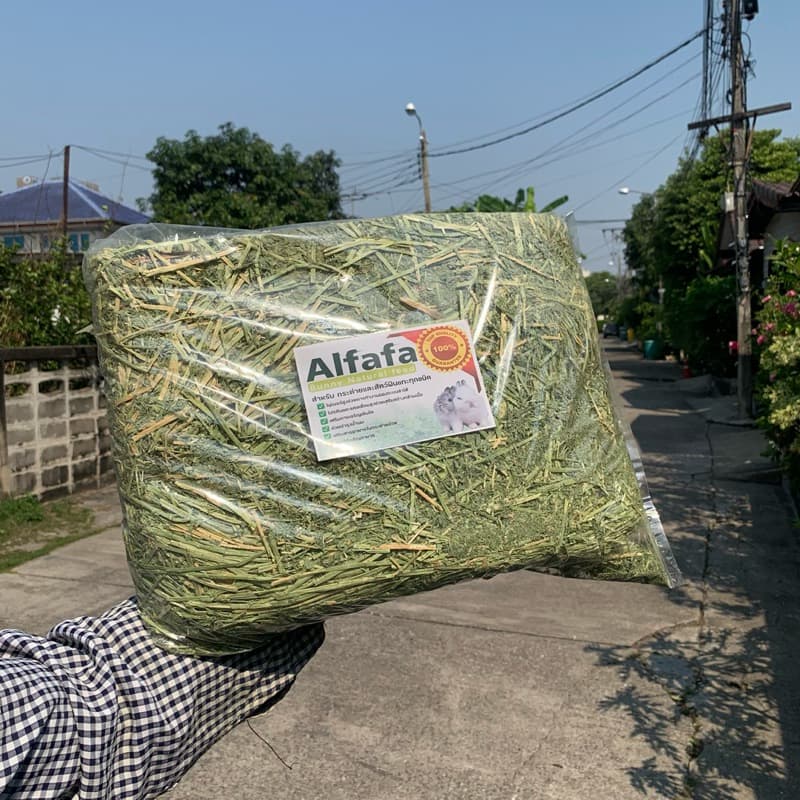 best 1stหญ้าเขียวๆอัลฟาฟ่าก้านใบ แบบปึก5กก และ25kg รูปที่ 3