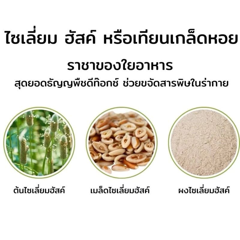 ไซเลี่ยม ฮัสก์ แบบเกล็ด Psyllium Husk 100% ไซเลี่ยมฮัสก์ แบบเกล็ด ไฟเบอร์ธรรมชาติ ไซ รูปที่ 2