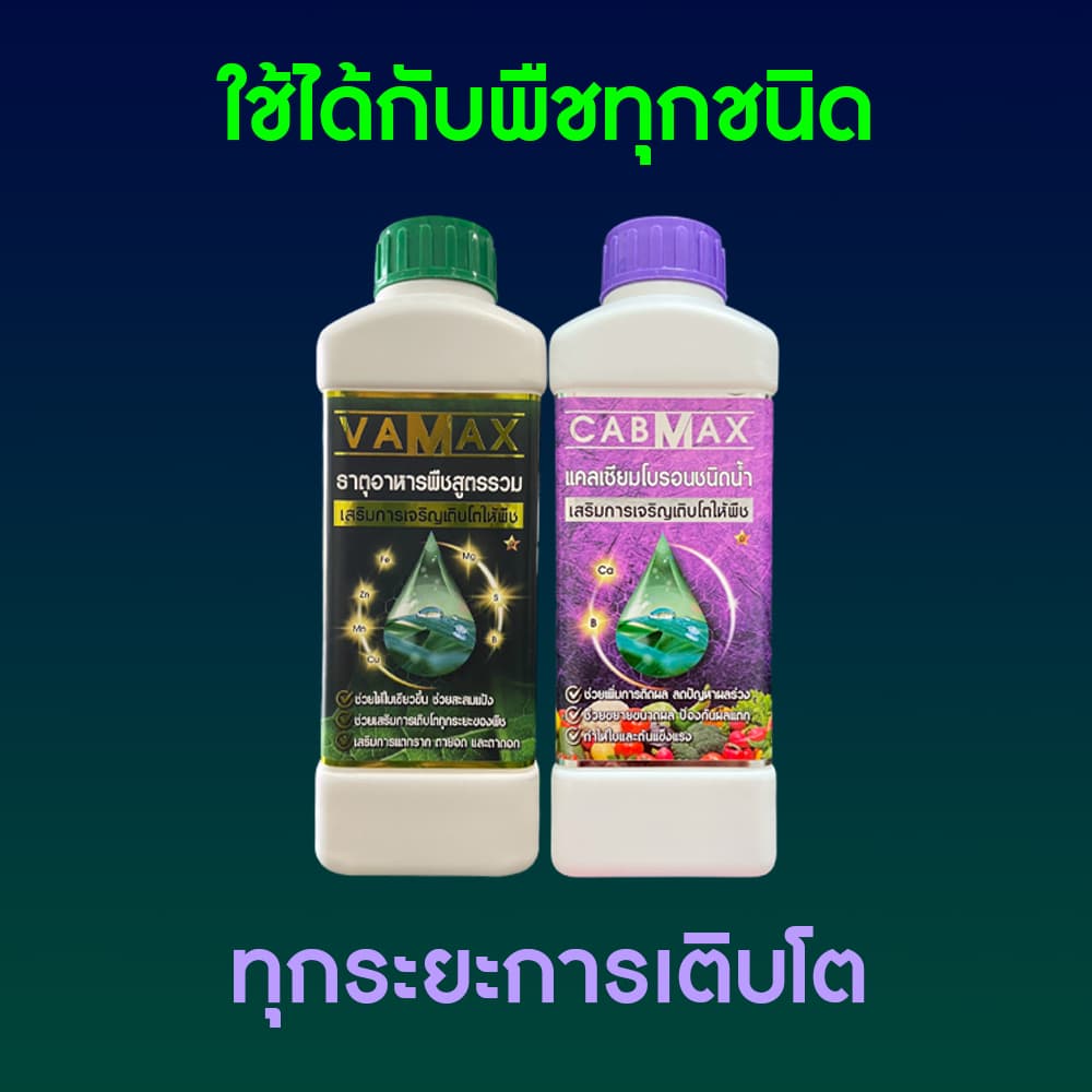 CABMAX แคลเซียมและโบรอนเข้มข้น + VAMAX ธาตุอาหารรวมเข้มข้น 2 ลิตร รูปที่ 8