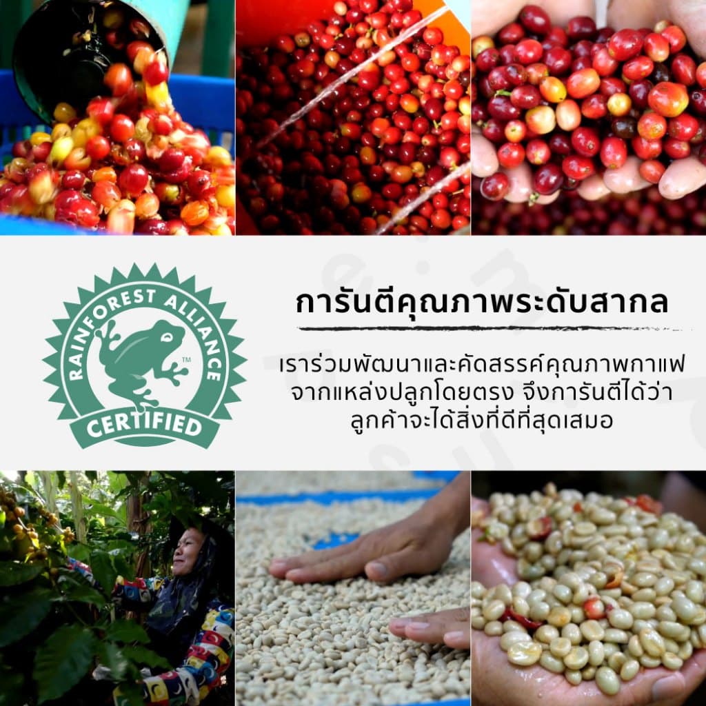 De:mins Coffee Roaster เมล็ดกาแฟ house blend คั่วเข้ม SMOKY ROST อราบิก้า 100% รูปที่ 4