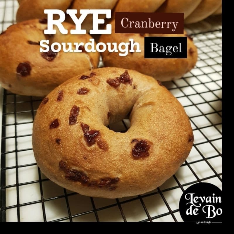 Rye Cranberry Sourdough Bagel (ขนมปังแครนเบอรี่เบเกิลจากยีสต์ธรรมชาติผสมแป้งไรย์) รูปที่ 1
