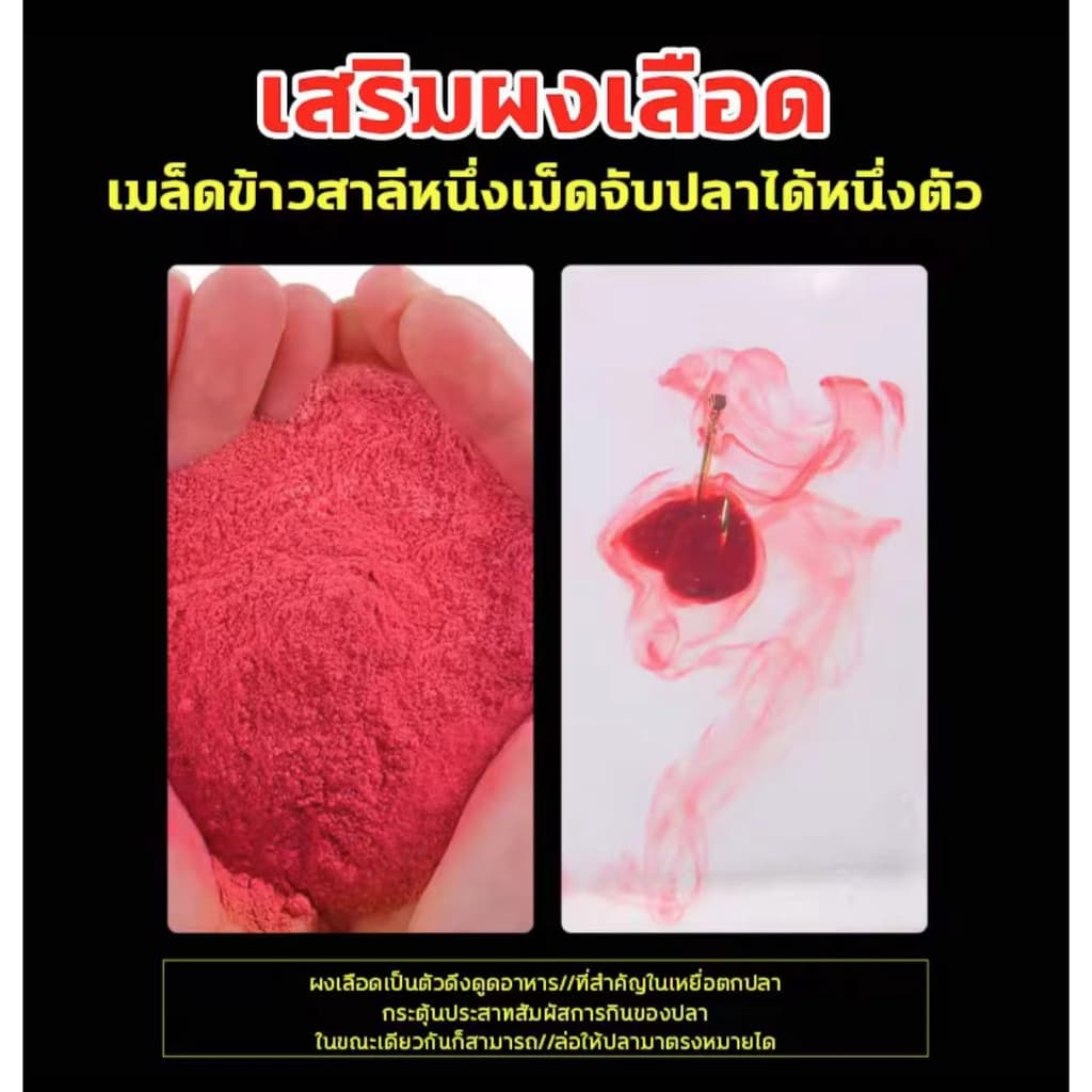 สามารถตกปลาได้1000ครั้งHydra เหยื่อตกปลา หัวเชื้อตกปลา 1000เม็ด กัดเบ็ด3วินาที เพิ่มสารล่อปลา รสชาติกลมกล่อม กระตุ้นให รูปที่ 5