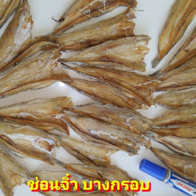 สด ปลาทูแดง 1kg ปลาทูหวานแดง ปลาหวานแดง ปลาทูหวานขาว ปลาหวานงา ปลาเส้นงา ริวกิว ปลาข้างเหลืองงา ปลาหมึก ปลาวง ปลาไล้กอ รูปที่ 8