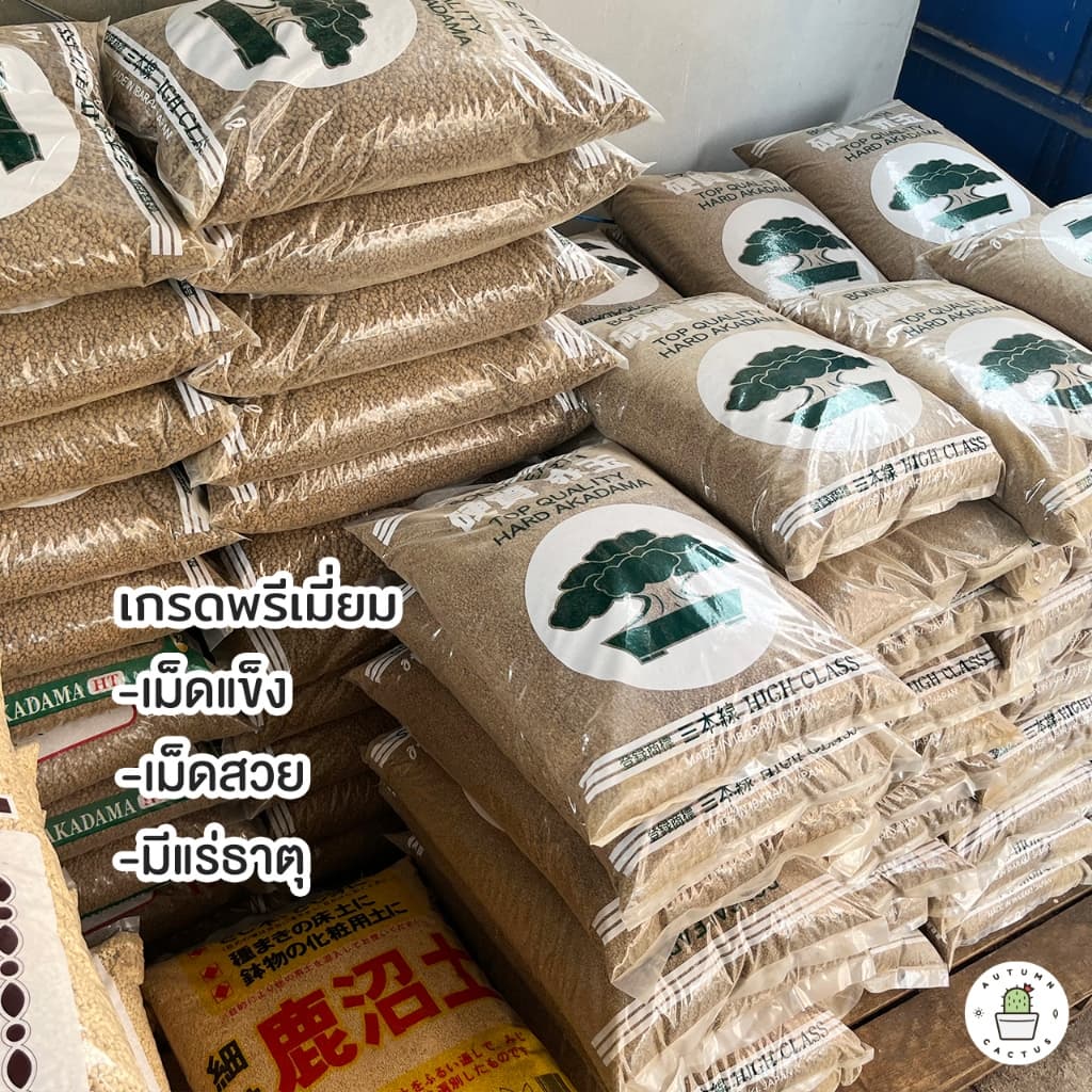 อะคาดามะ ดินญี่ปุ่น AKADAMA SOIL ใช้โรยหน้า กระบองเพชร ไม้อวบน้ำ บอนไซ 1-3mm 3-6mm 500g เกรดพรีเมี่ยม 3แถบ รูปที่ 5