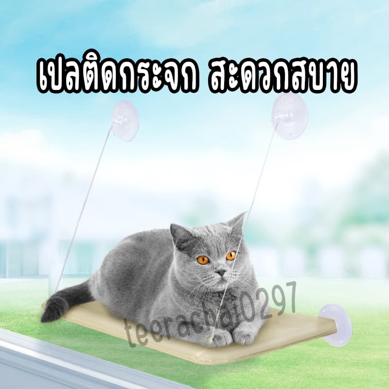 เปลแมวติดกระจก รับน้ำหนักได้ถึง 20kg เปลสัตว์เลี้ยงสีพาสเทล ที่นอนแมว บ้านแมว รูปที่ 3