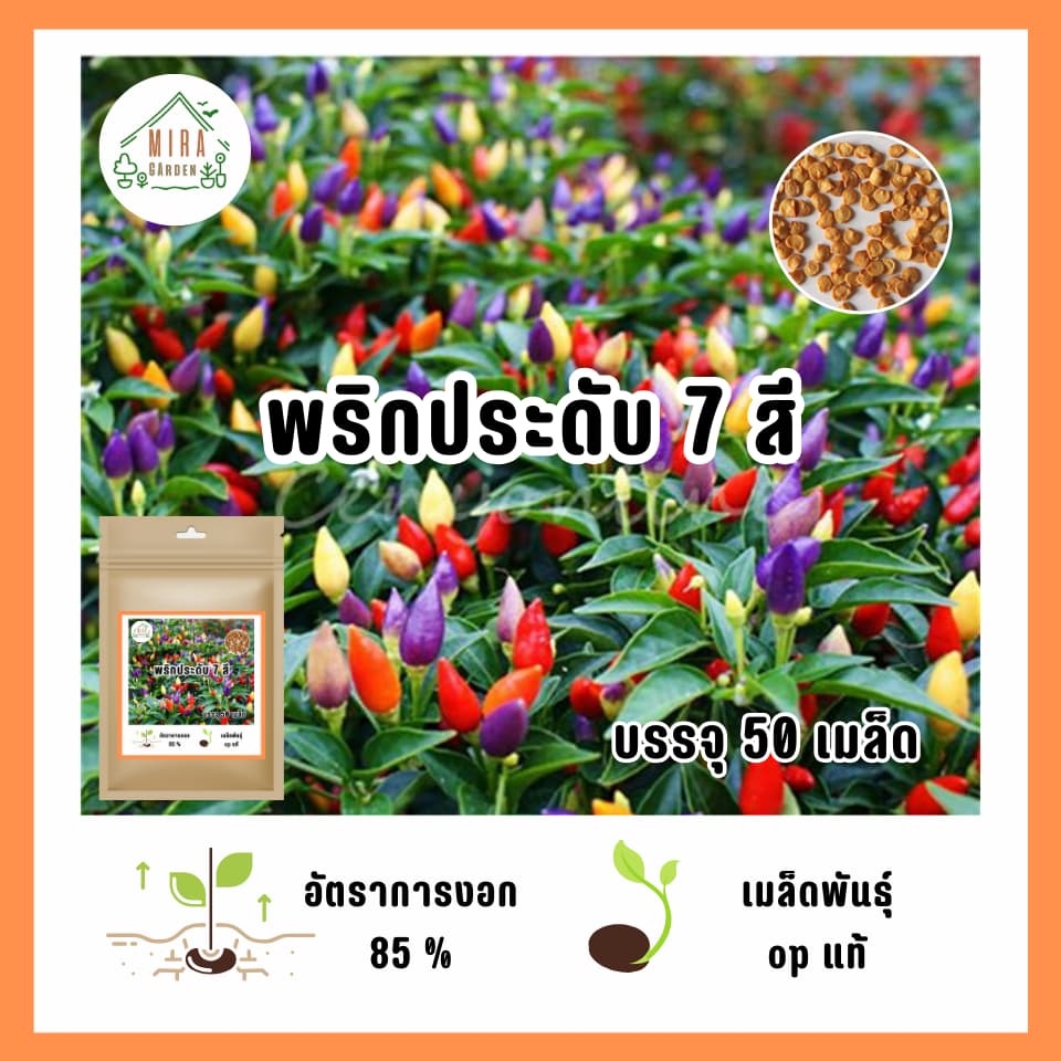 เมล็ดพันธุ์ พริกประดับ 7 สี บรรจุ 50 เมล็ด รูปที่ 1