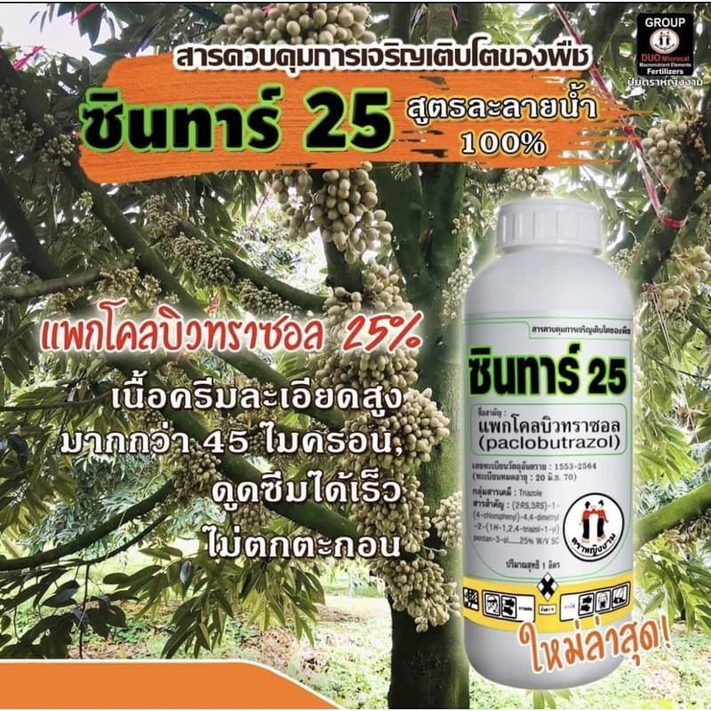 ซินทาร์ 25 ตราหญิงงาม เนื้อครีมละเอียดสูงมากกว่า 45 ไมครอน ควบคุมการเจริญเติบโตของพืช รูปที่ 4