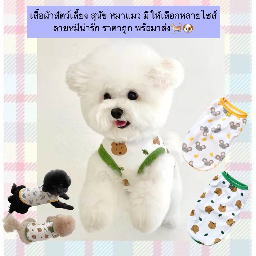 AL-811 เสื้อผ้าสัตว์เลี้ยง สุนัข หมาแมว มีให้เลือกหลายไซส์ ลายหมีน่ารัก พร้อมาส่ง รูปที่ 1