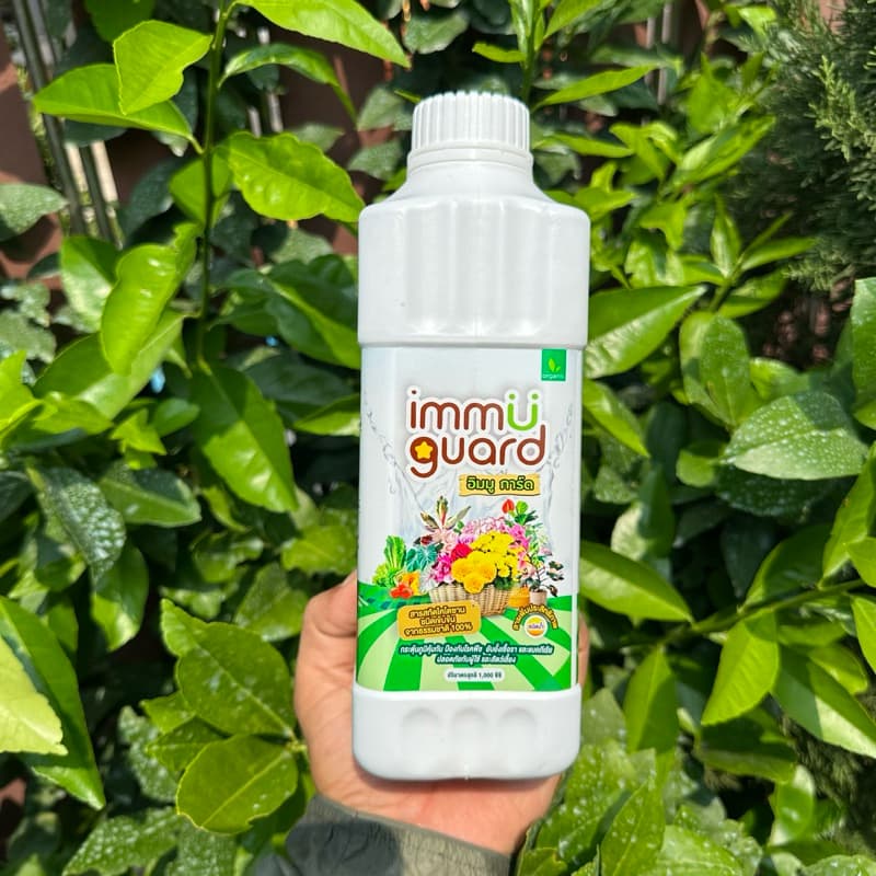 immu guard วัคซีนพืช ป้องกันเชื้อรา แบคทีเรีย และ เพลี้ย ออแกนิค100% รูปที่ 4