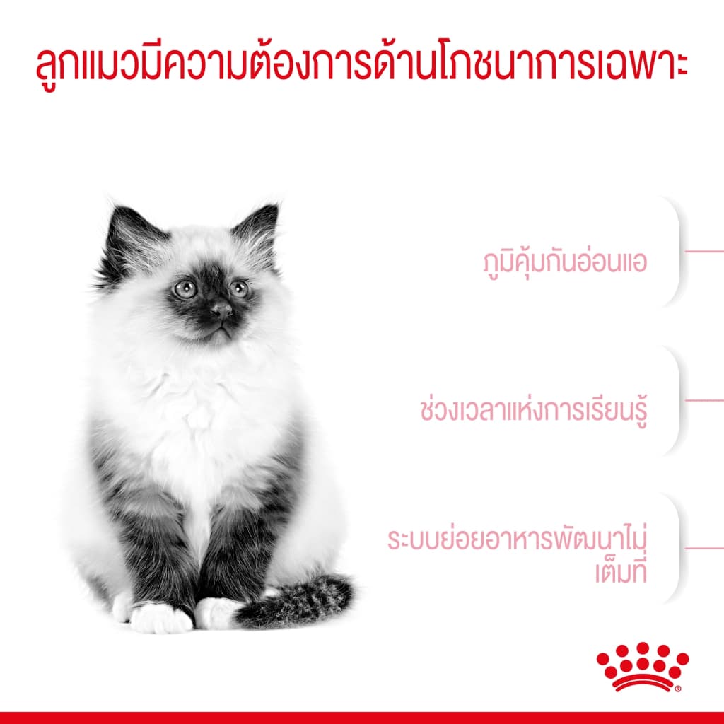 Royal Canin kitten 4kg สูตร ลูกแมว 4 kg สำหรับลูกแมว อายุ 4 - 12 เดือน รูปที่ 6