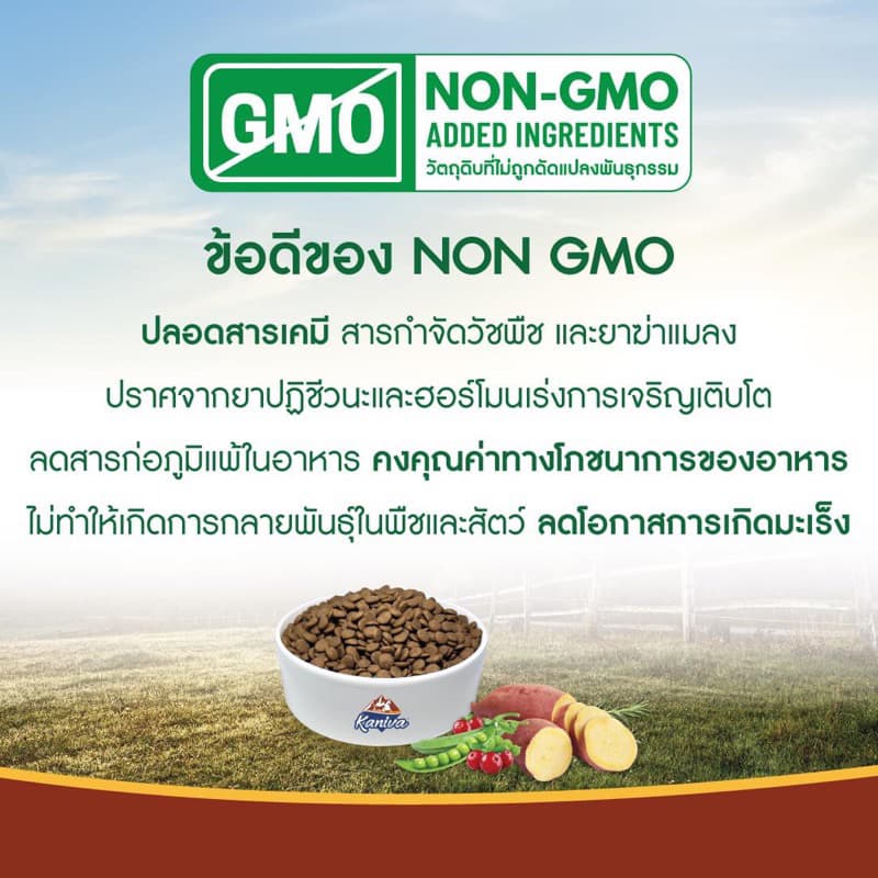 Kaniva Grain Free Premium Cat Food คานิว่า อาหารเม็ดเกรนฟรีเกรดพรีเมี่ยมสำหรับแมว บรรจุ 1kg รูปที่ 2