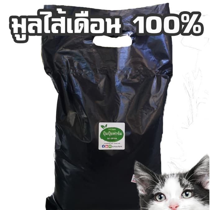 มูลไส้เดือน ร่อนสดใหม่ ทุกถุง vermicompost ขนาด 1 กก. kg รูปที่ 5