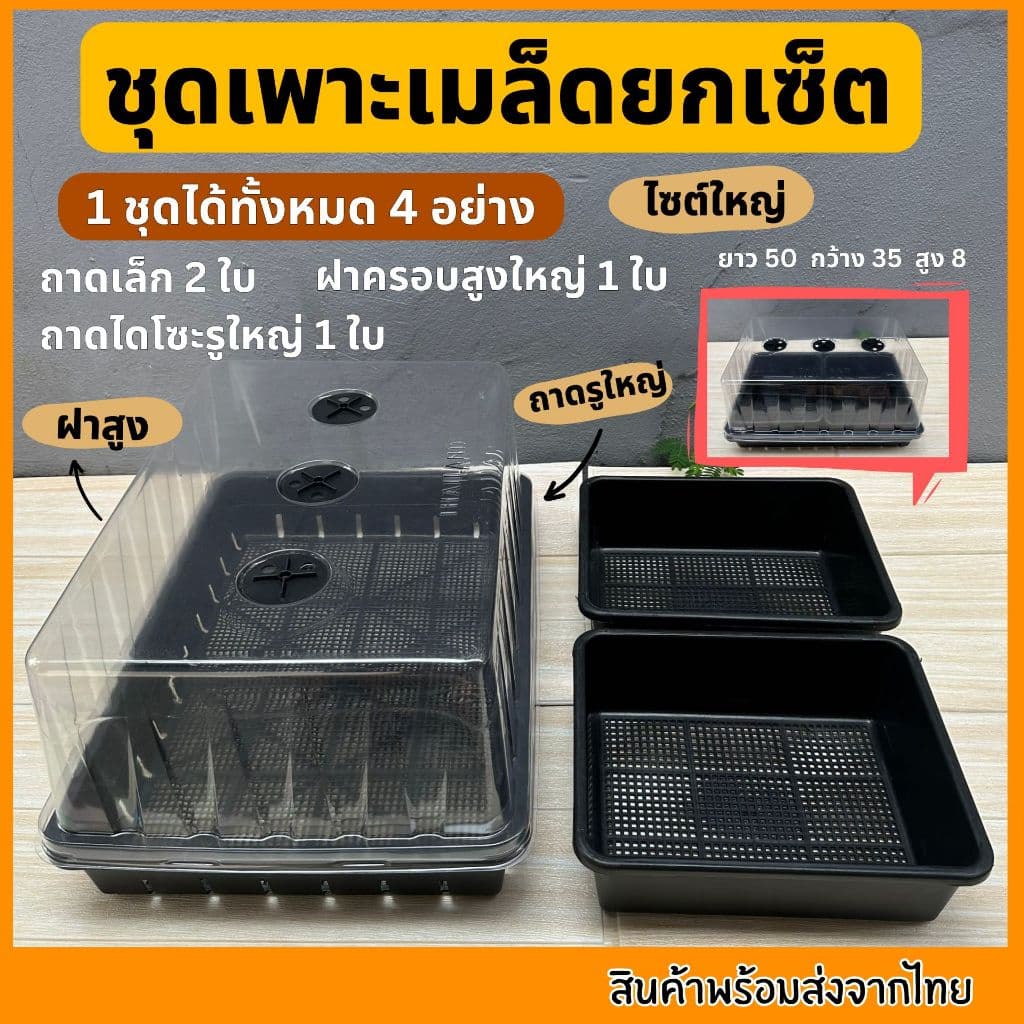 ชุดเพาะเมล็ด เซ็ตถาดไดโซะ ถาดทึบ ถาดรู ชุดเพาะชำ ฝาครอบ ถูกที่สุด รูปที่ 7