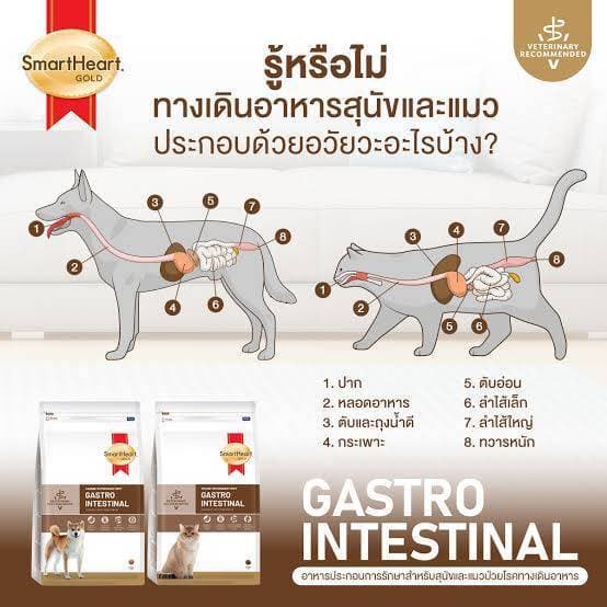 Smartheart gold gastrointestinal ขนาด1.5 และ 3 kg อาหารสำหรับสุนัขท้องเสีย ปรับสมดุลลำไส้ รูปที่ 4