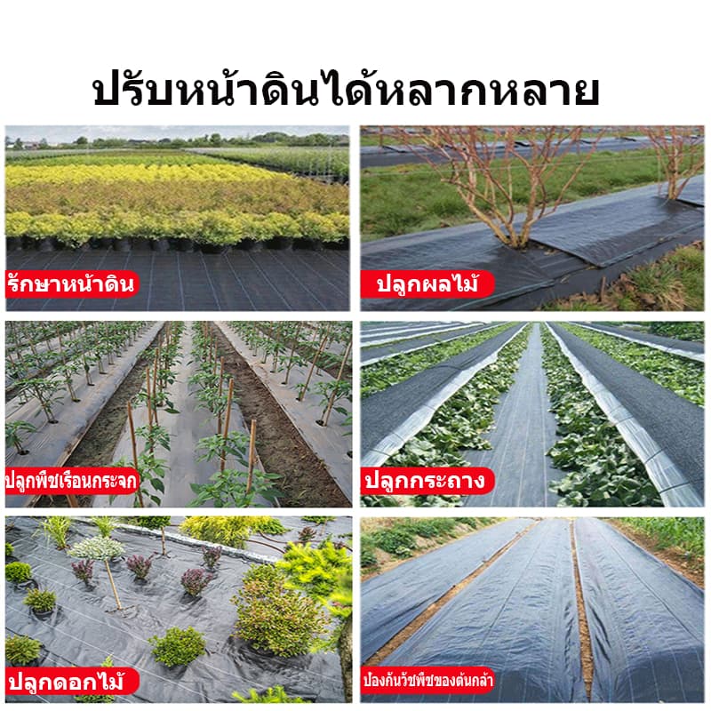 ผ้าคลุมหญ้า ผ้าคลุมดิน พลาสติกคลุมวัชพืช พราสติกคลุมดิน ผ้าคลุมวัชพืช คลุมวัชพืช น้ำซึมผ่านได้ 50 เมตร 100 เมตร รูปที่ 5